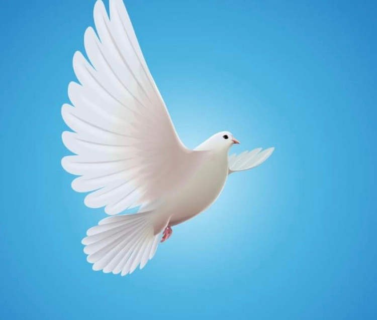 Full Gospel Tabernacle Ministries